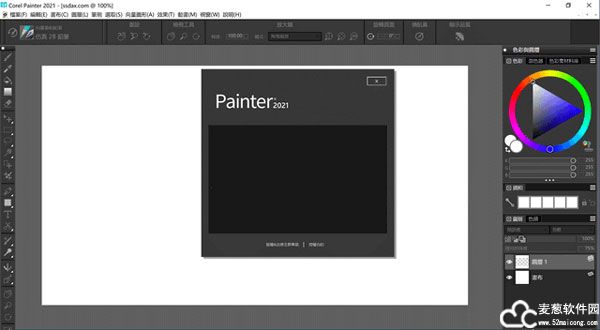 Corel Painter 2021中文版