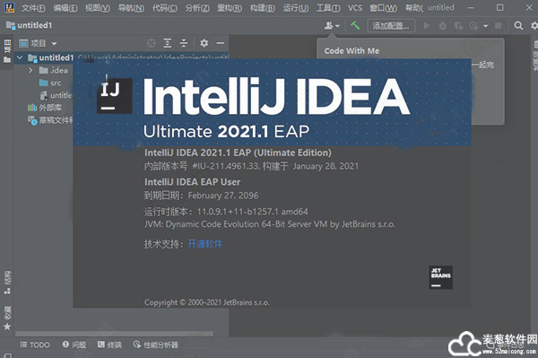 idea 2021汉化版