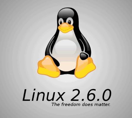 Linux 