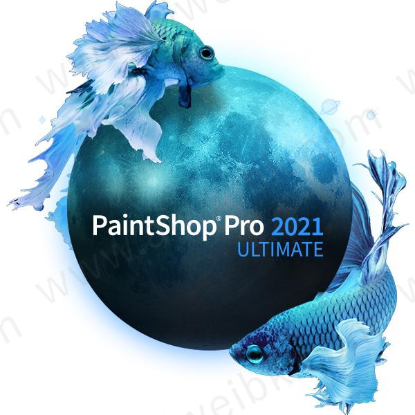 Corel PaintShop Pro 2021绿色破解版